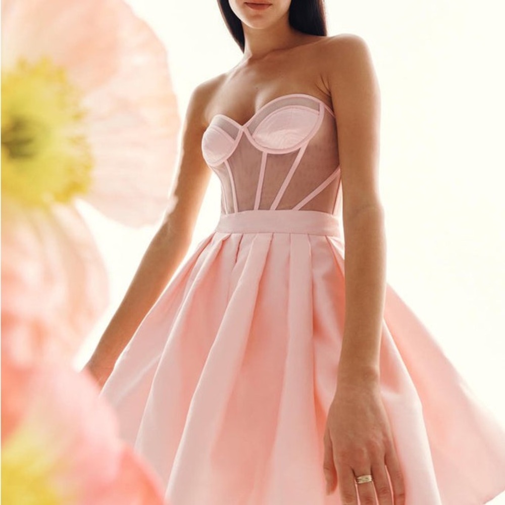 Leo Lin Strapless Pink Bustier Ball Gown Dress